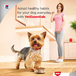 multibenefit VERL-4-img