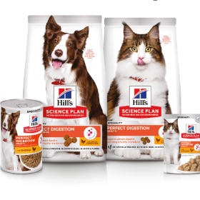 Science Plan Perfect Digestion Broşürü