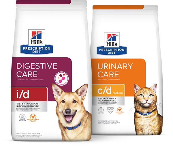 profesyonel paket görüntüleri