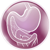 gastro-icon-2