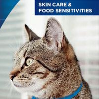 Kedi Deri Rahatsızlıkları Broşürü