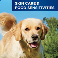 Köpek Deri Rahatsızlıkları Broşürü