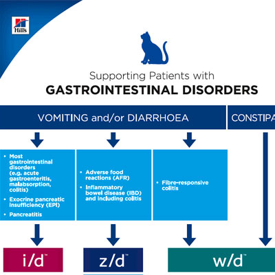 Kedi Sindirim Sistemi Sağlığı Protokolü