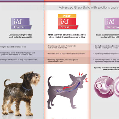 Sindirim Sistemi Sağlığı Broşürü 