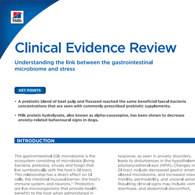 Köpeklerde Stres Yönetimi 