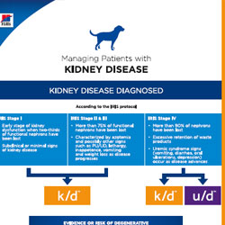  Renal Protocol